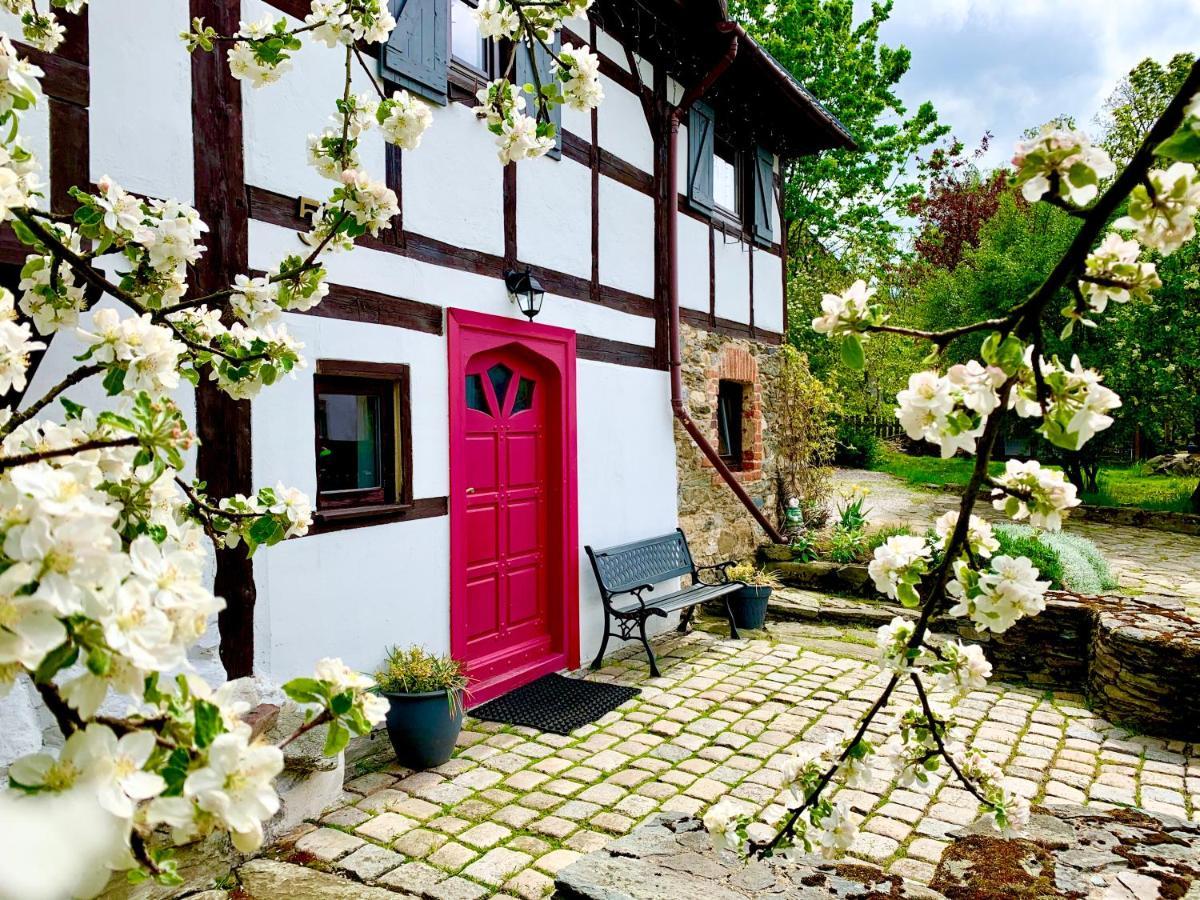 Za Rozowymi Drzwiami Villa Jelenia Gora Exterior photo